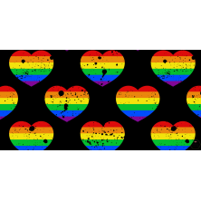 Szelki norweskie/Guard...