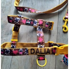 Szelki norweskie/Guard Mops