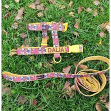 Szelki norweskie/Guard Mops