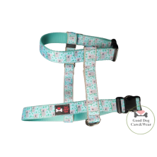 Szelki norweskie/Guard Miś Koala