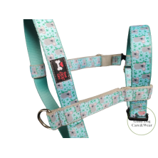 Szelki norweskie/Guard Miś Koala