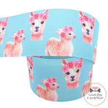 Szelki norweskie/Guard Lama