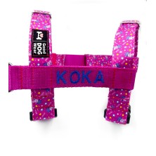 Szelki norweskie/Guard Pepa