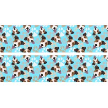 Szelki Jack Russell Terrier
