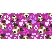 Szelki Jack Russell Terrier...