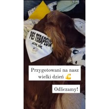 Chustka dla psa z własnym nadrukiem