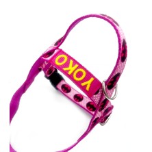 Szelki norweskie/Guard Batman PINK