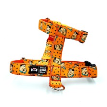 Szelki norweskie/Guard Flinstones