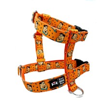 Szelki norweskie/Guard Flinstones