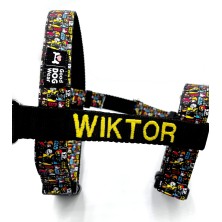 Szelki norweskie/Guard Star Wars 4