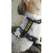 Szelki norweskie/Guard Pacman