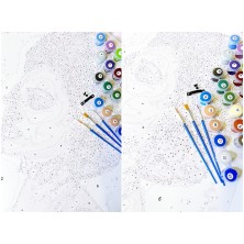 Malowanie po numerach Maltańczyk