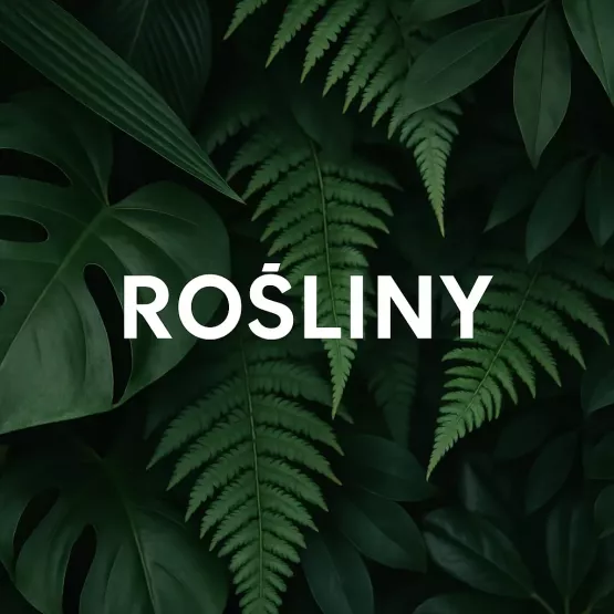 Obroże z Motywem Roślinnym – Kwiaty, Liście, Natura | Good Dog Wear