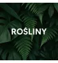 Rośliny